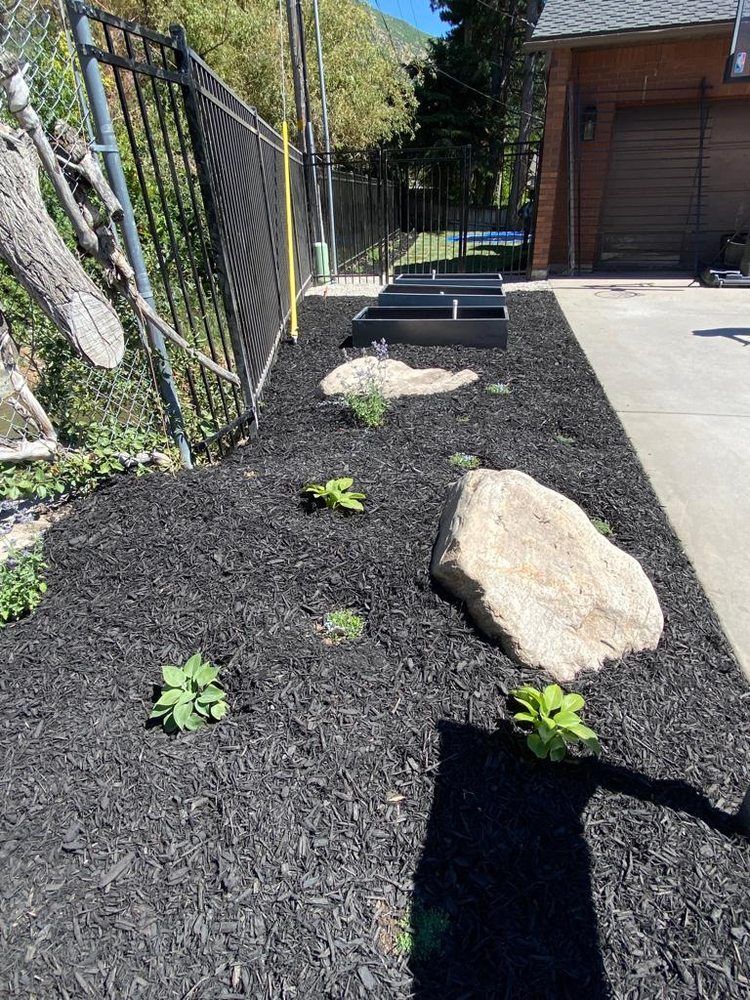Black mulch garden bed with large rocks, small green plants, and a black metal fence. Raised garden beds in the background.