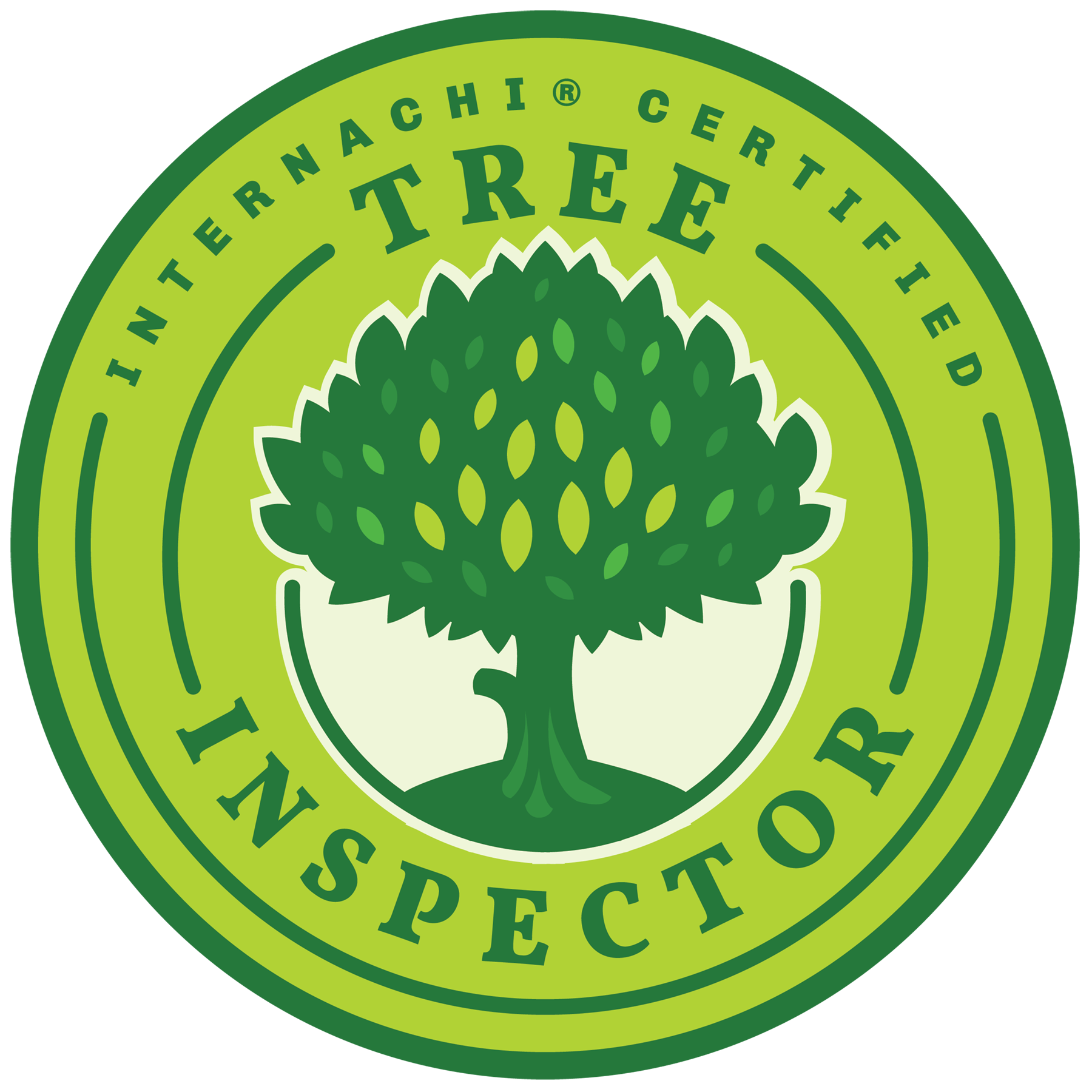 Tree Inspector Charlottetown, PEI
