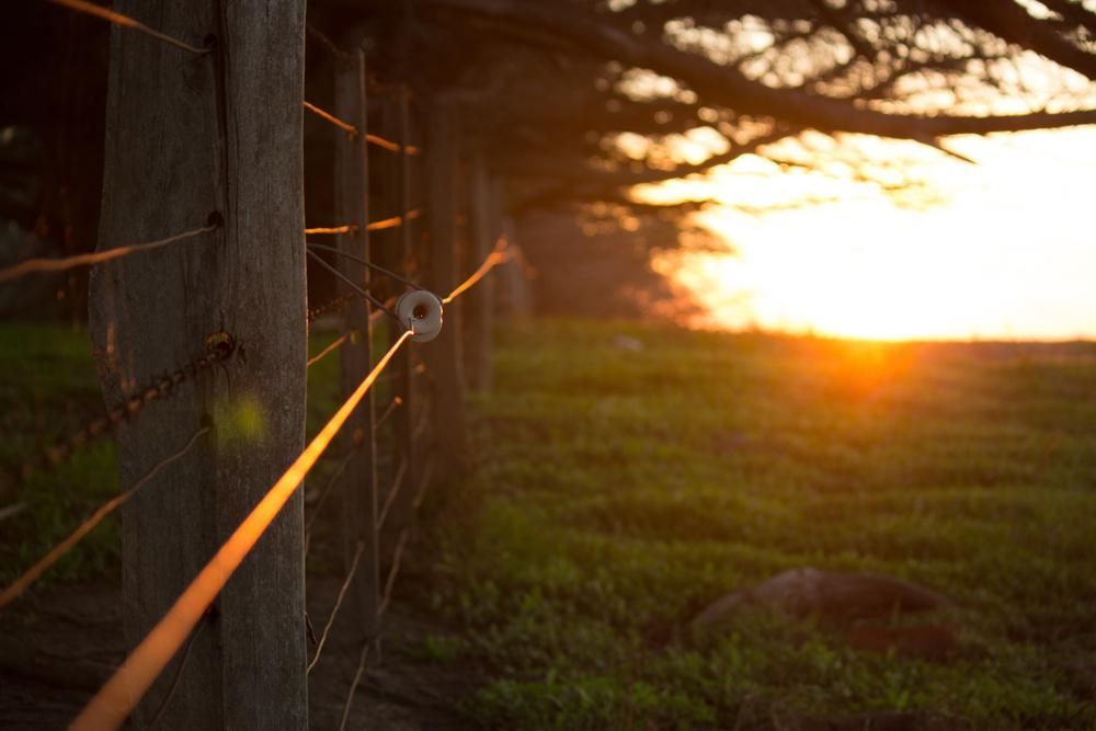 the Sun is Setting Behind a Fence in a Field — Tony Sinclair Fencing In Bucca, NSW