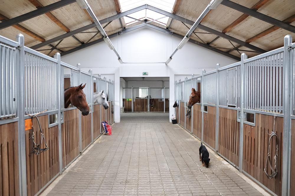 a Horse Stable With Horses Looking Out of Their Stalls — Tony Sinclair Fencing In Dorrigo, NSW