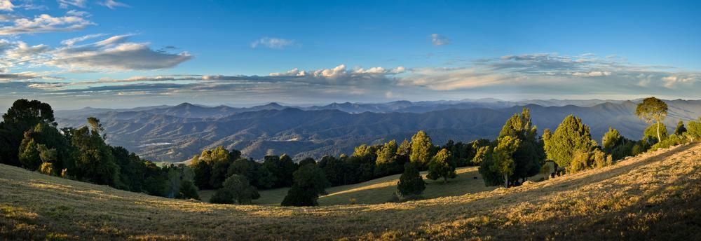 a Panoramic View of a Hillside With Trees and Mountains in the Background — Tony Sinclair Fencing In Bellingen, NSW