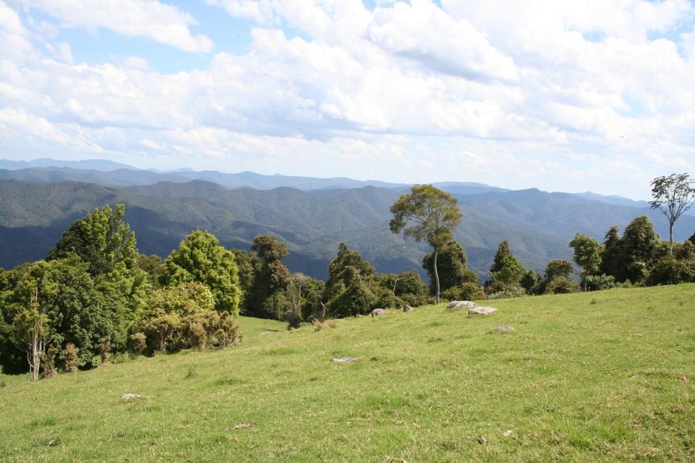 a Grassy Field With Trees and Mountains in the Background — Tony Sinclair Fencing In Dorrigo, NSW
