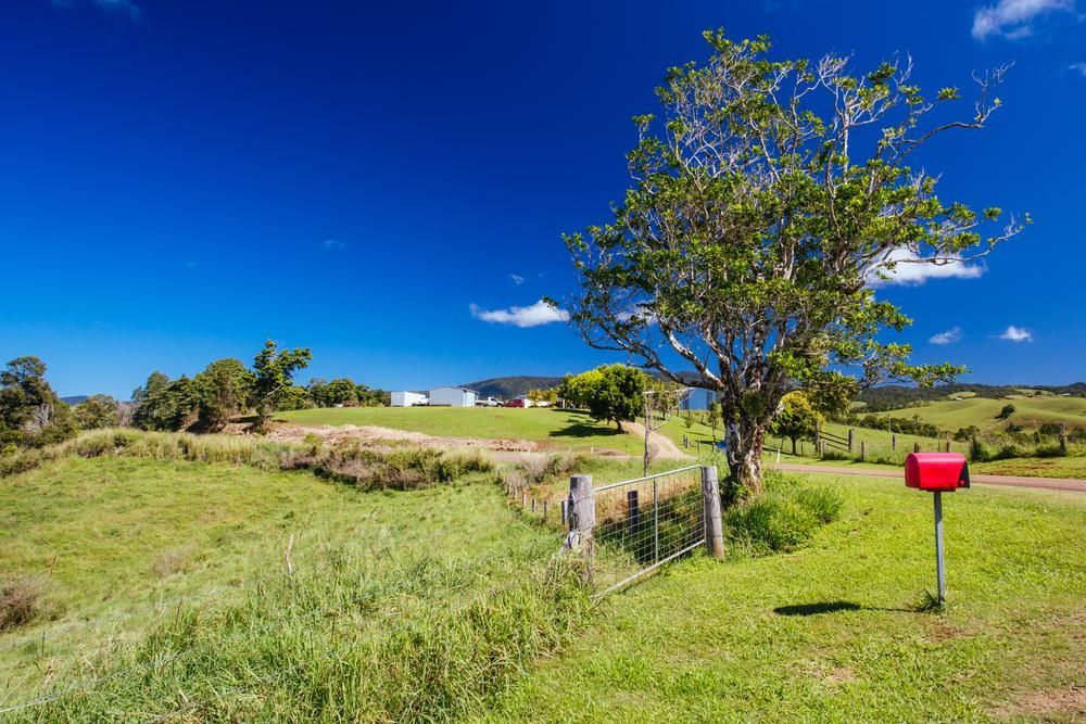 a Red Mailbox is Sitting in the Middle of a Grassy Field — Tony Sinclair Fencing In Glen Innes, NSW