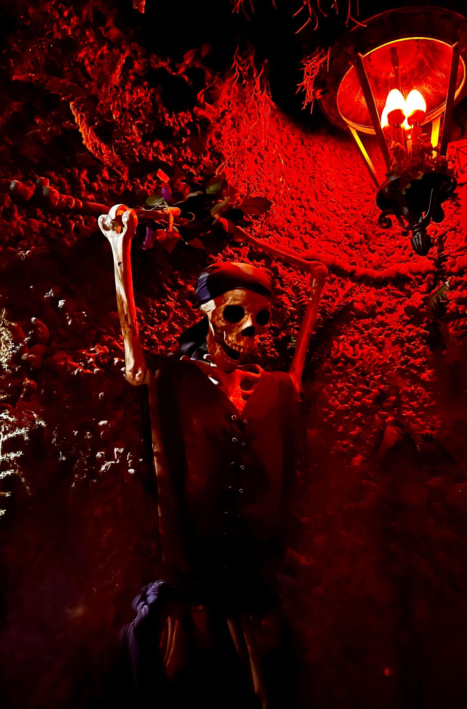 Isle of Wonder Escape Room