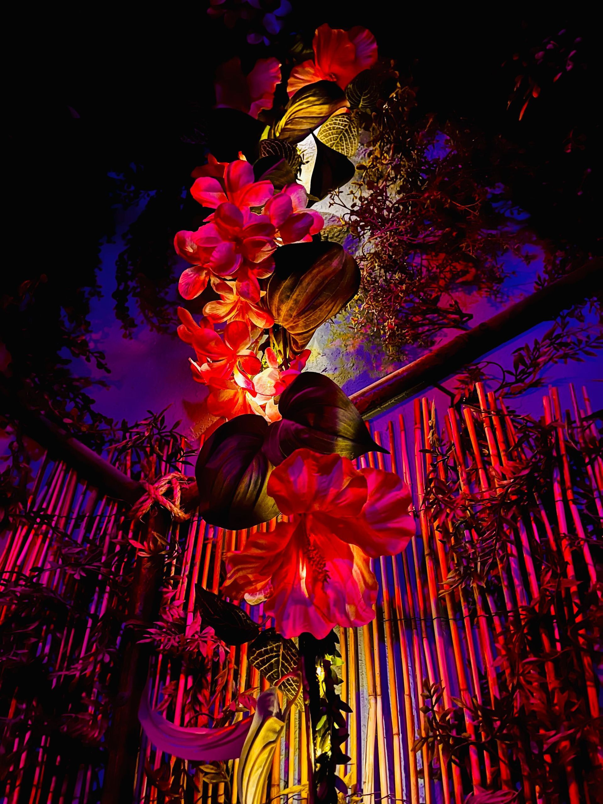 Isle of Wonder Escape Room