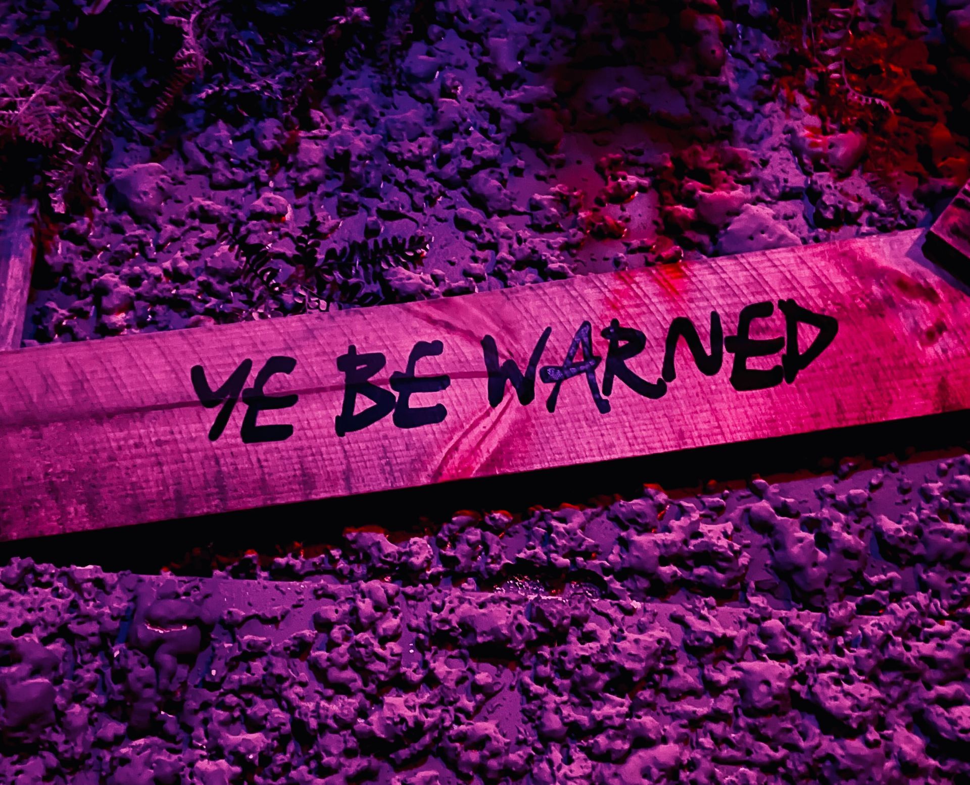 Isle of Wonder Escape Room