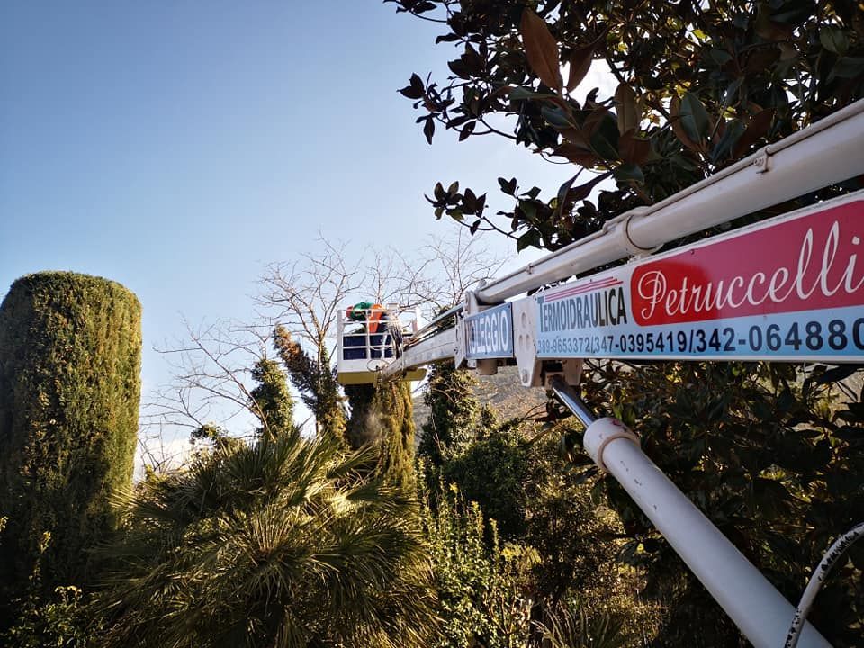 noleggio mezzi edili