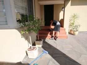 A person in a gray shirt and dark shorts uses a power tool on the wooden steps of a house entrance near potted plants.