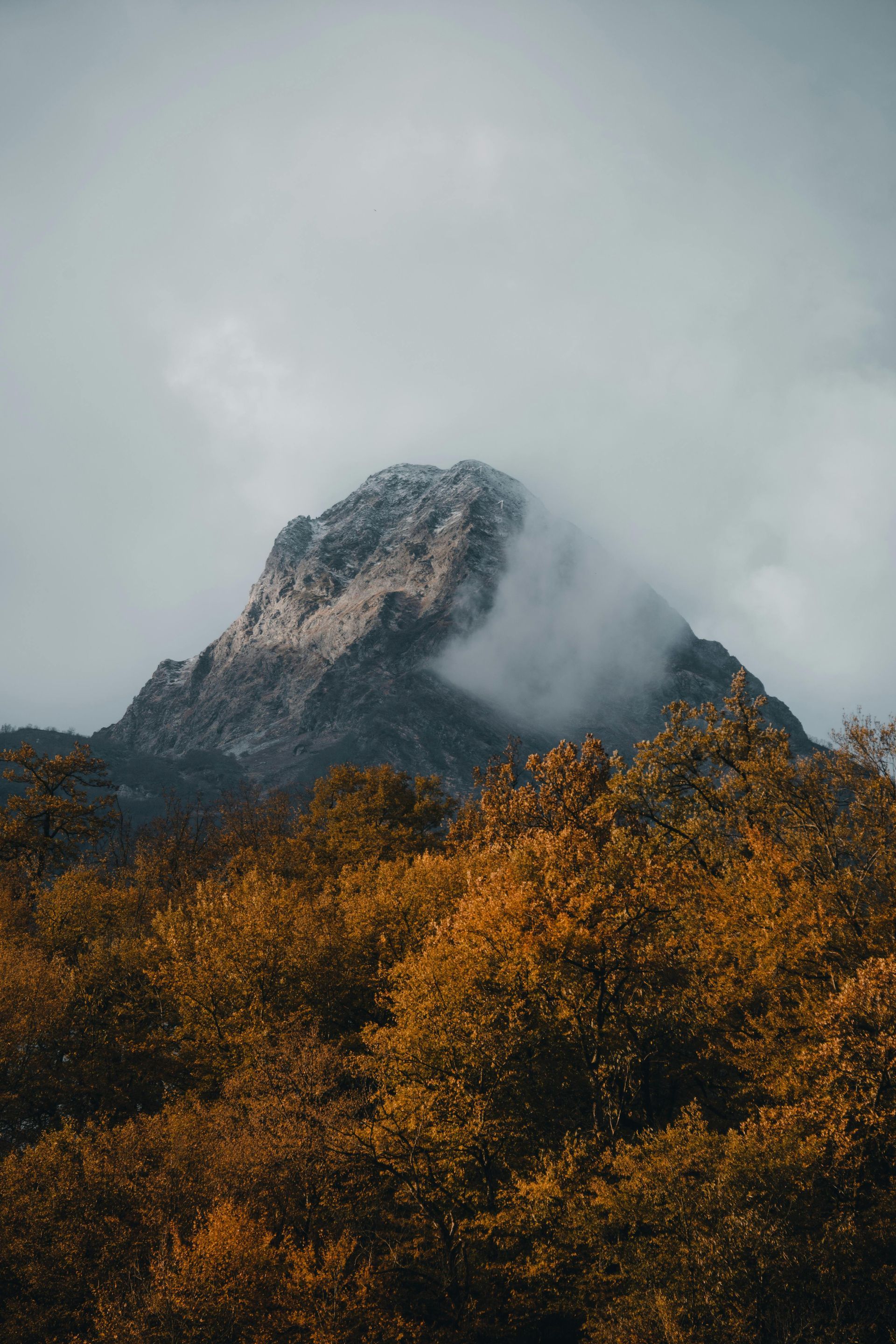 A craggy, gray mountain peak partially shrouded in mist, rising above a dense forest of orange autumn trees.