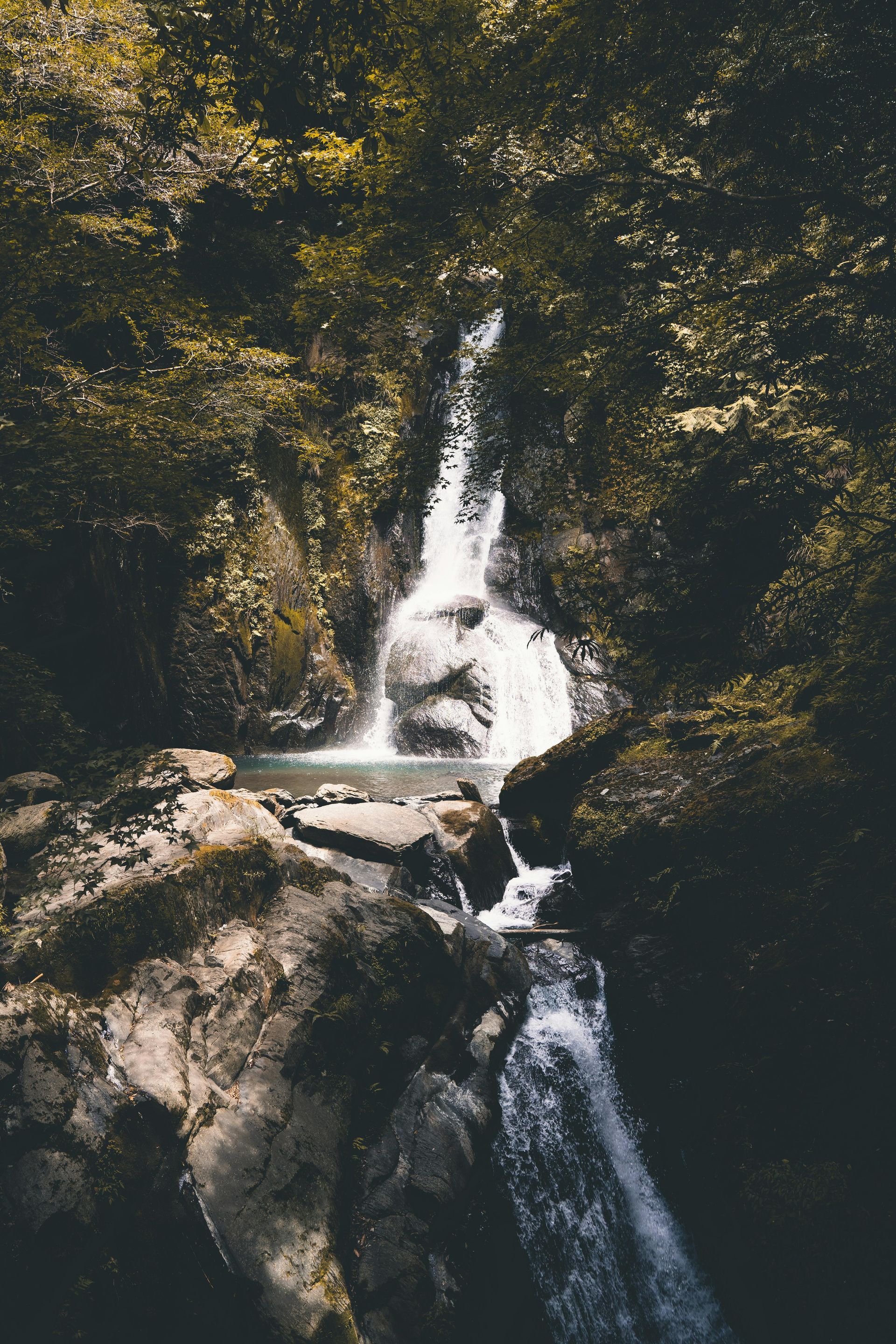 A waterfall cascades down a rocky, moss-covered cliff face surrounded by a lush forest.