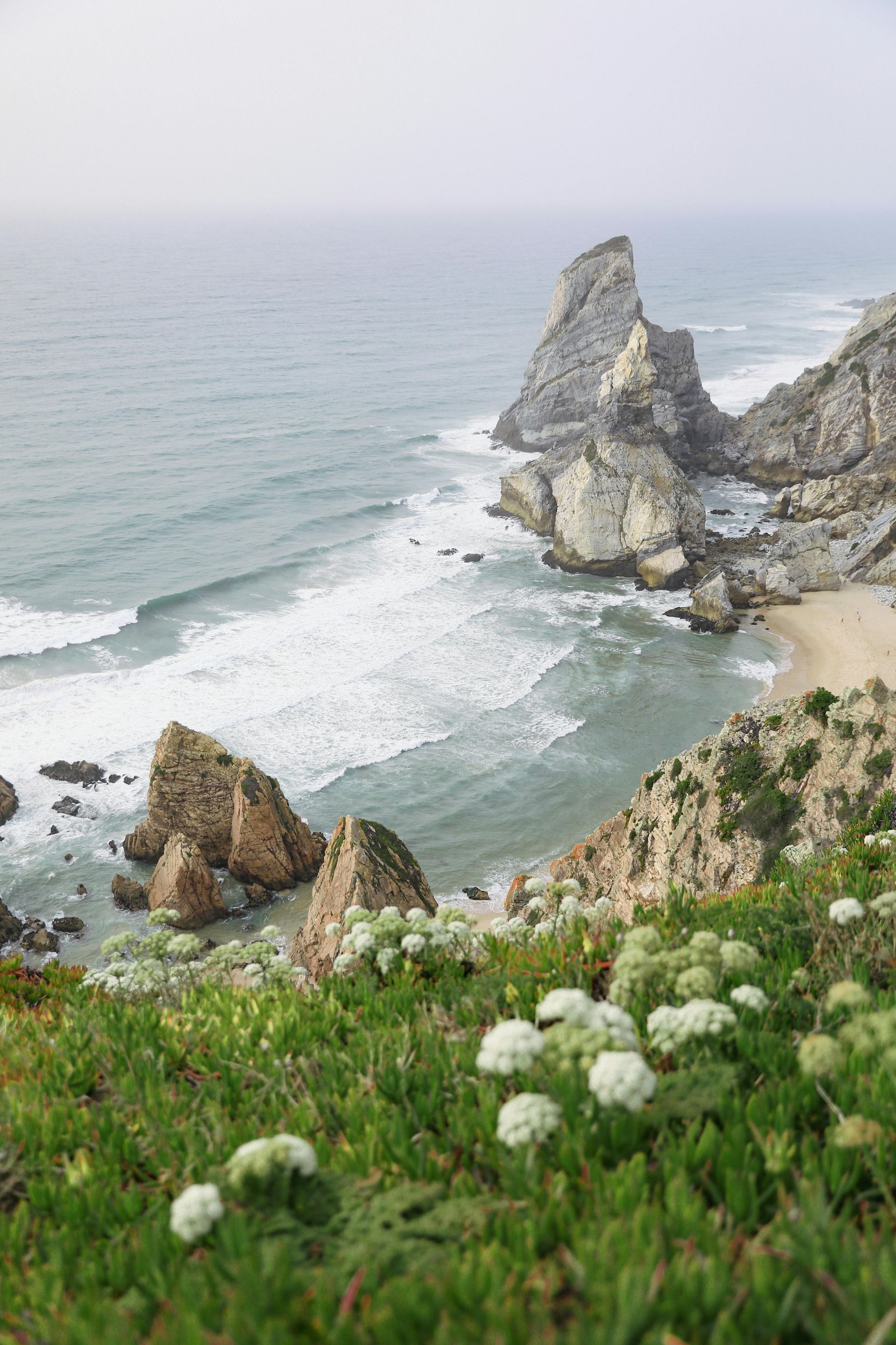 A rocky coastline with white flowers in the foreground, overlooking waves crashing against cliffs on a beach.