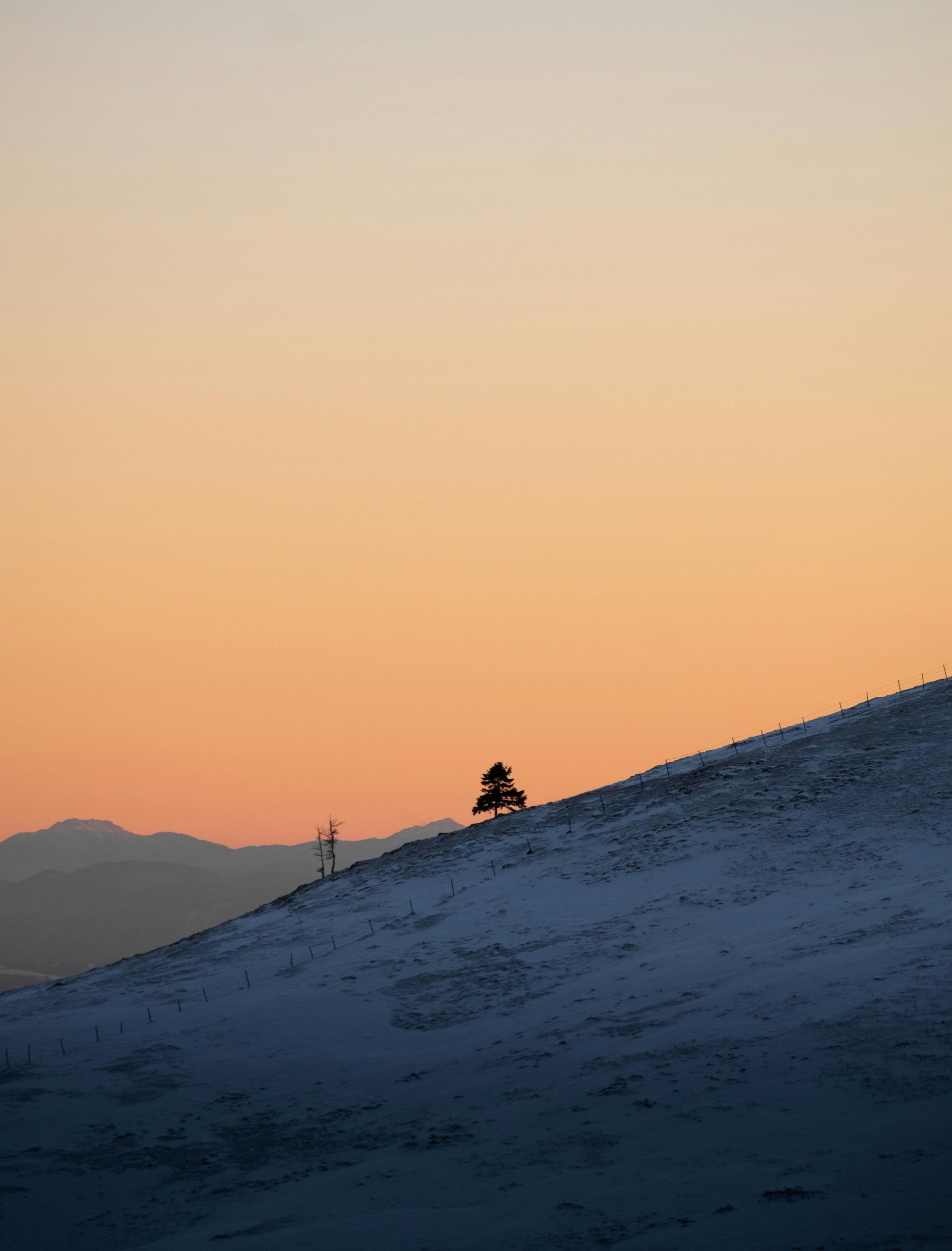 A lone tree stands on a snow-covered hillside against a gradient sky transitioning from orange to pale blue at dusk.