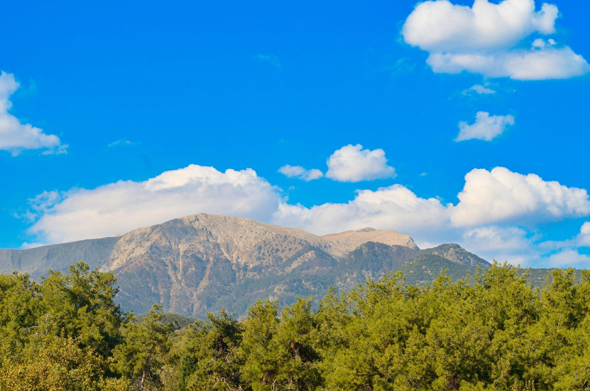A rocky mountain peak rises behind a dense, lush green forest under a bright blue sky with scattered white clouds.