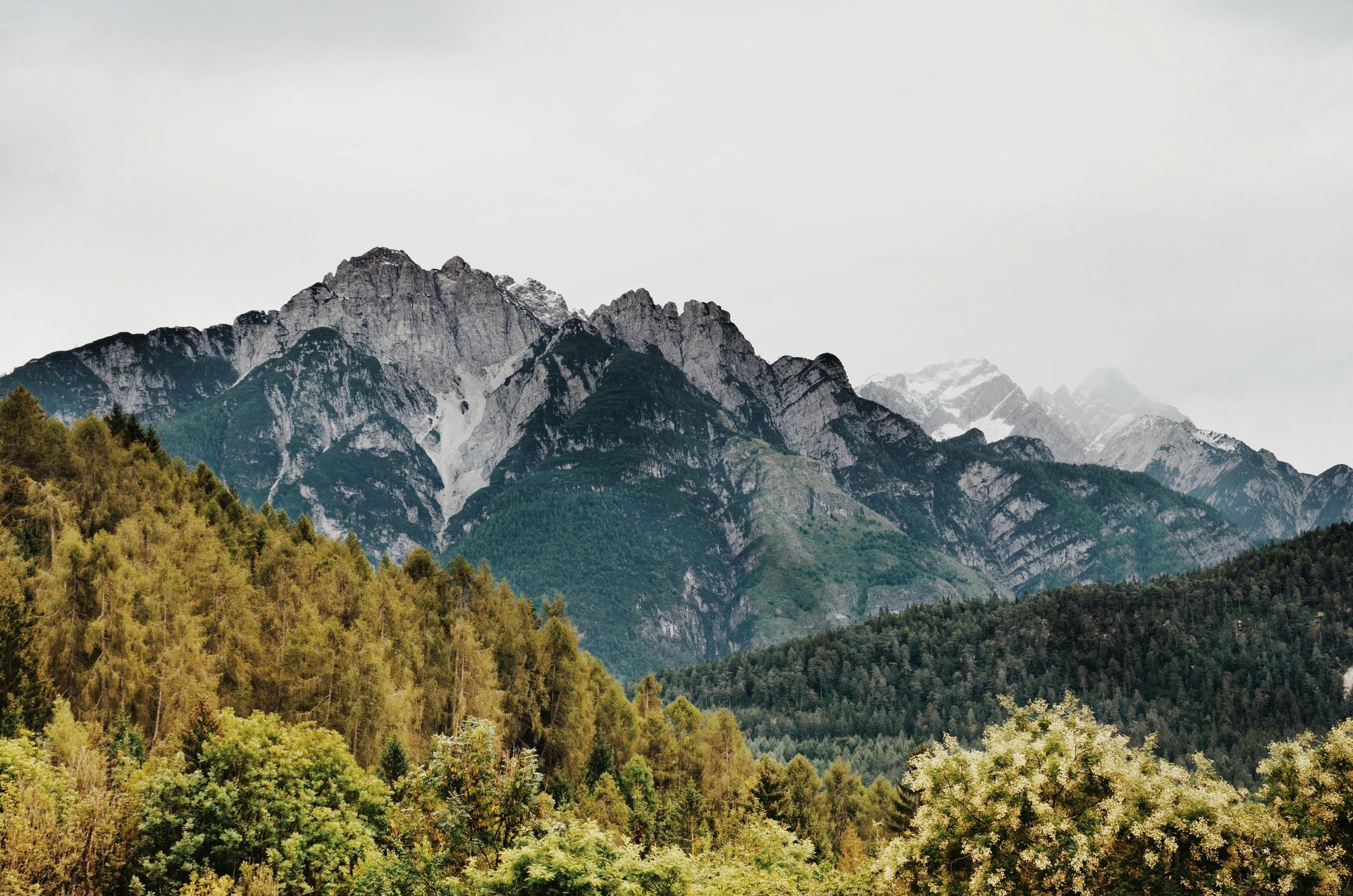 Jagged, rocky mountain peaks rise above a dense, green forest under a cloudy, overcast sky.