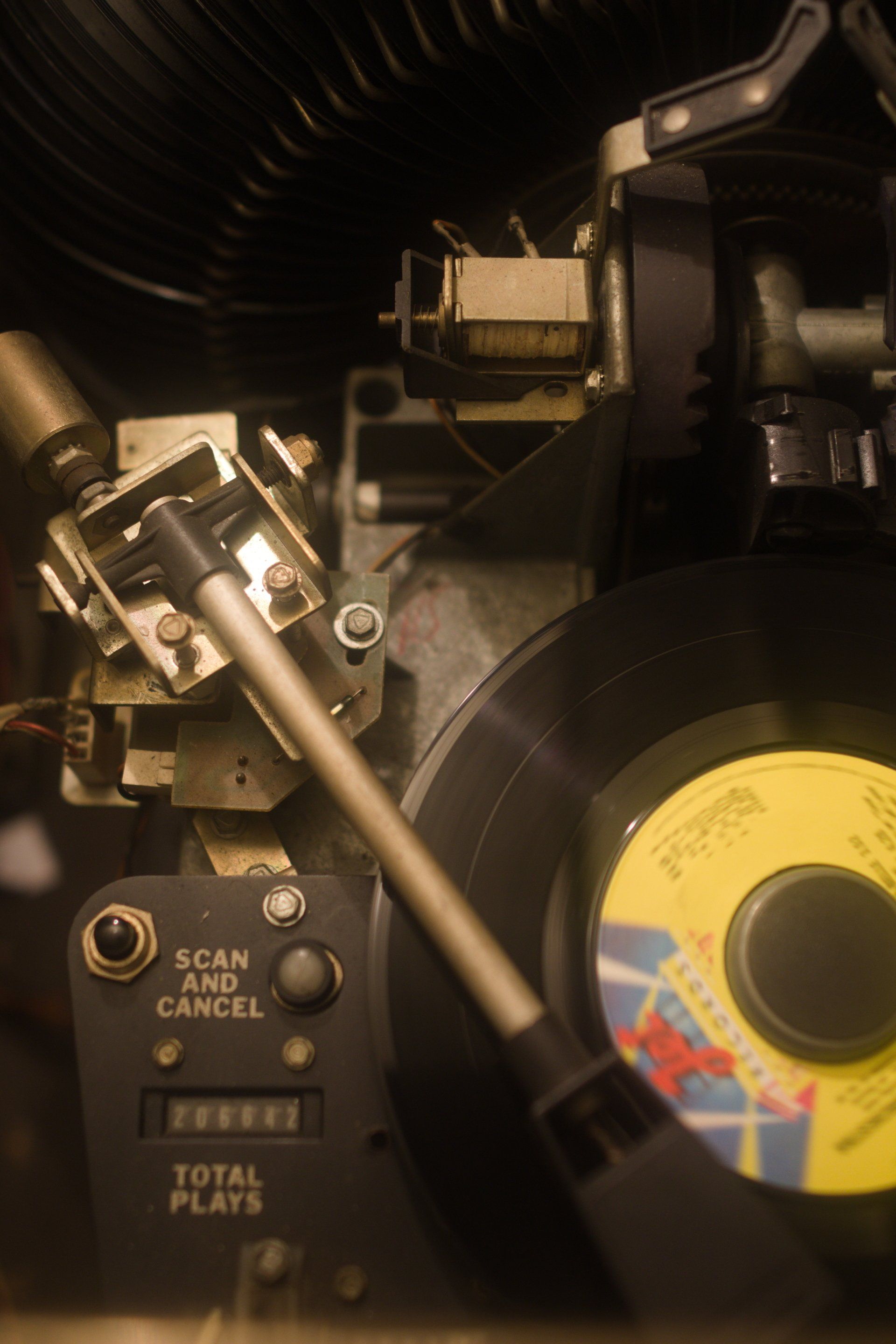 That Tiny Bike Shop logo