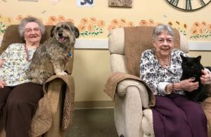 Two elderly women are sitting in chairs with dogs and a cat.