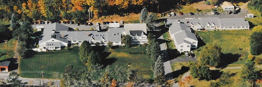 An aerial view of a residential area with houses and trees