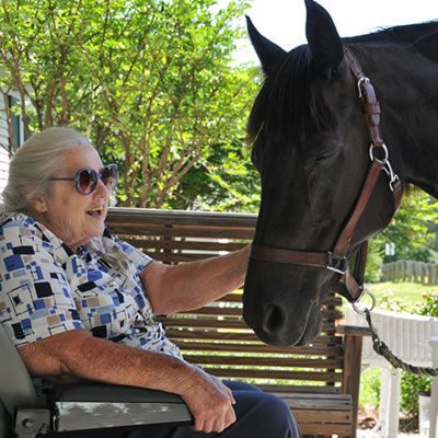 A woman in a wheelchair petting a black horse