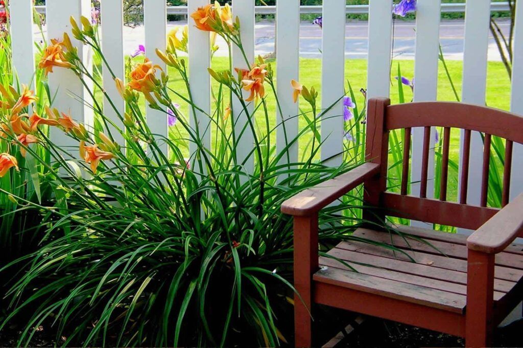 A wooden bench is sitting in front of a white picket fence surrounded by flowers.