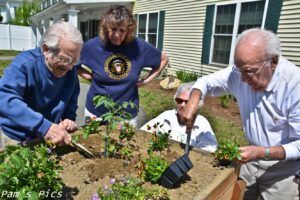 A group of people are planting flowers in a garden