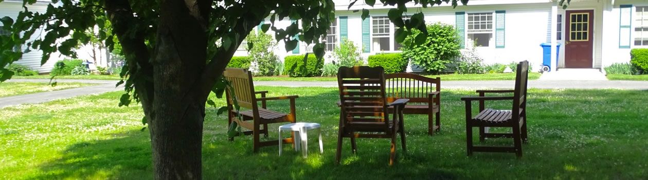 A group of chairs are sitting under a tree in front of a house.