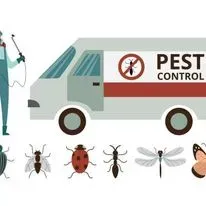 Pest control van and technician with insects.
