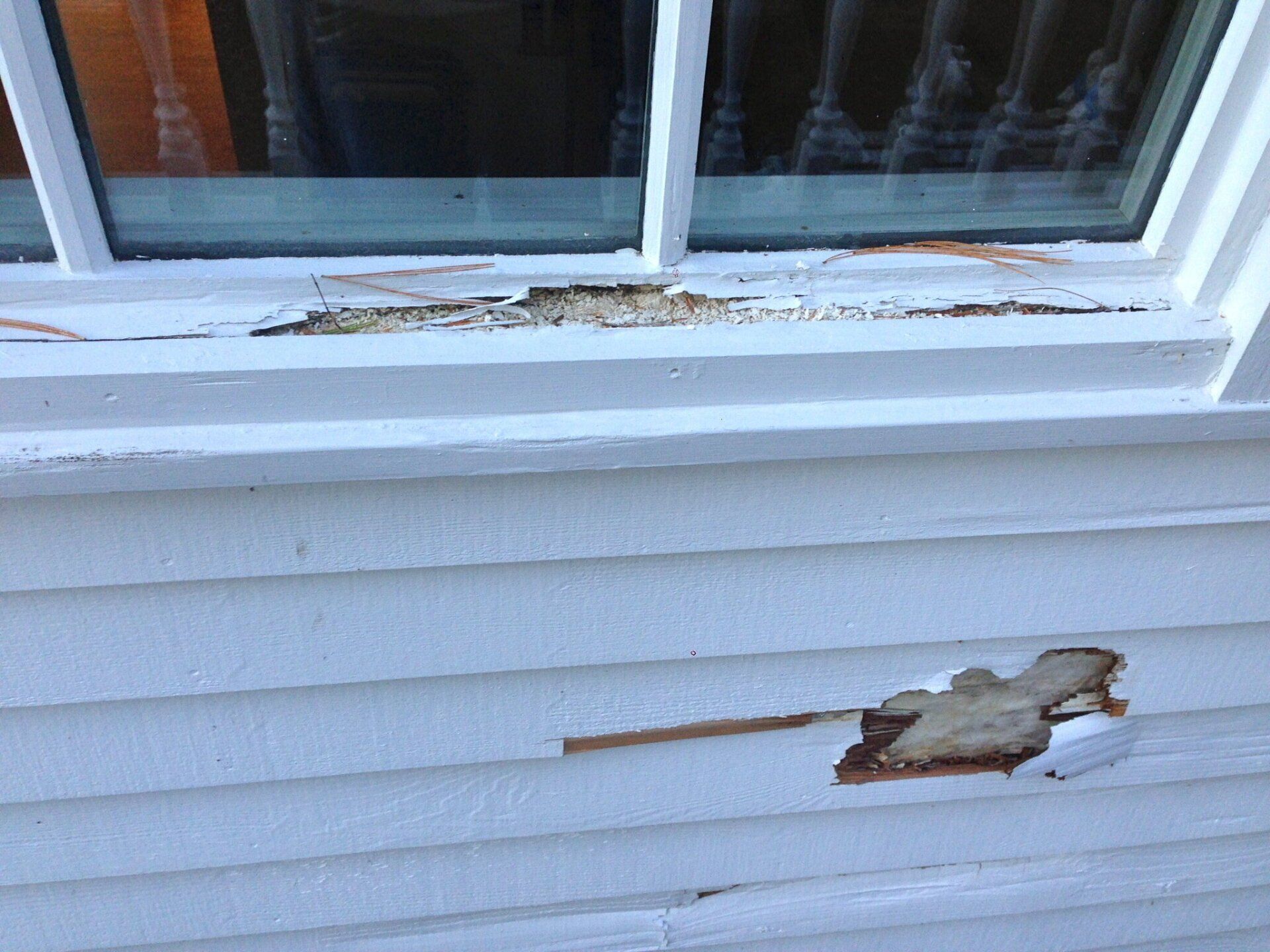 Carpentry Repair of Siding in Medfield, MA