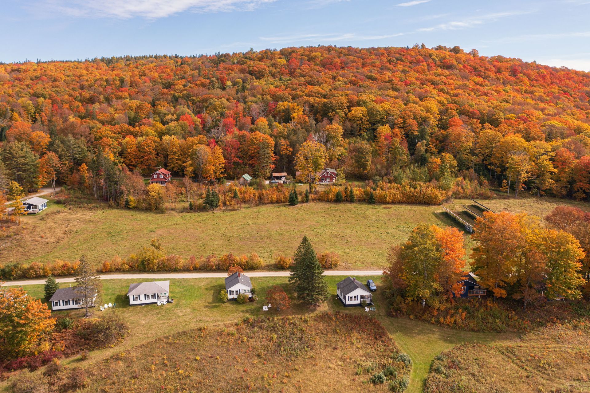 Houses in a field against a backdrop of fall foliage on a hillside; golden and red trees.