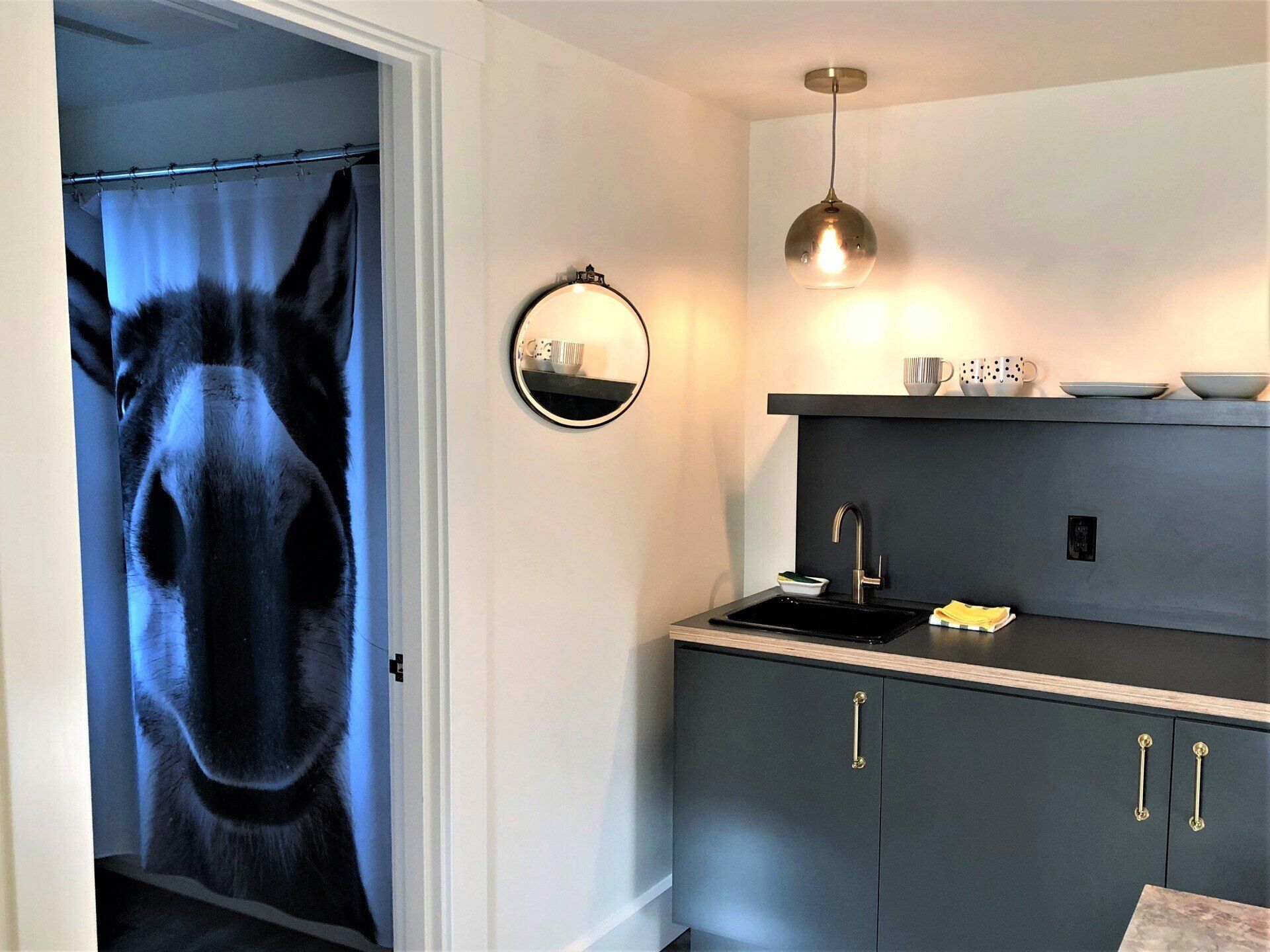 A bathroom with a horse shower curtain and a sink