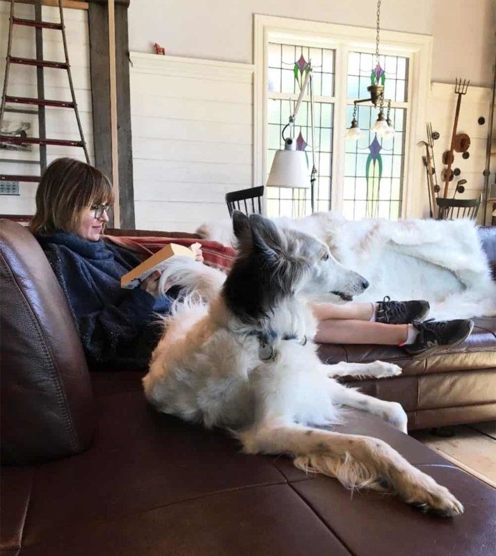 A woman is sitting on a couch reading a book while a dog lays on the couch next to her.