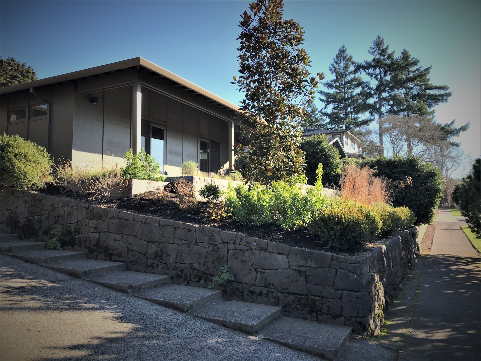 From the street, you see the new covered patio overlooking the lush garden at this 1961 midcentury ranch home