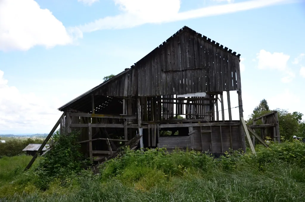 An old wooden barn is sitting in the middle of a field.