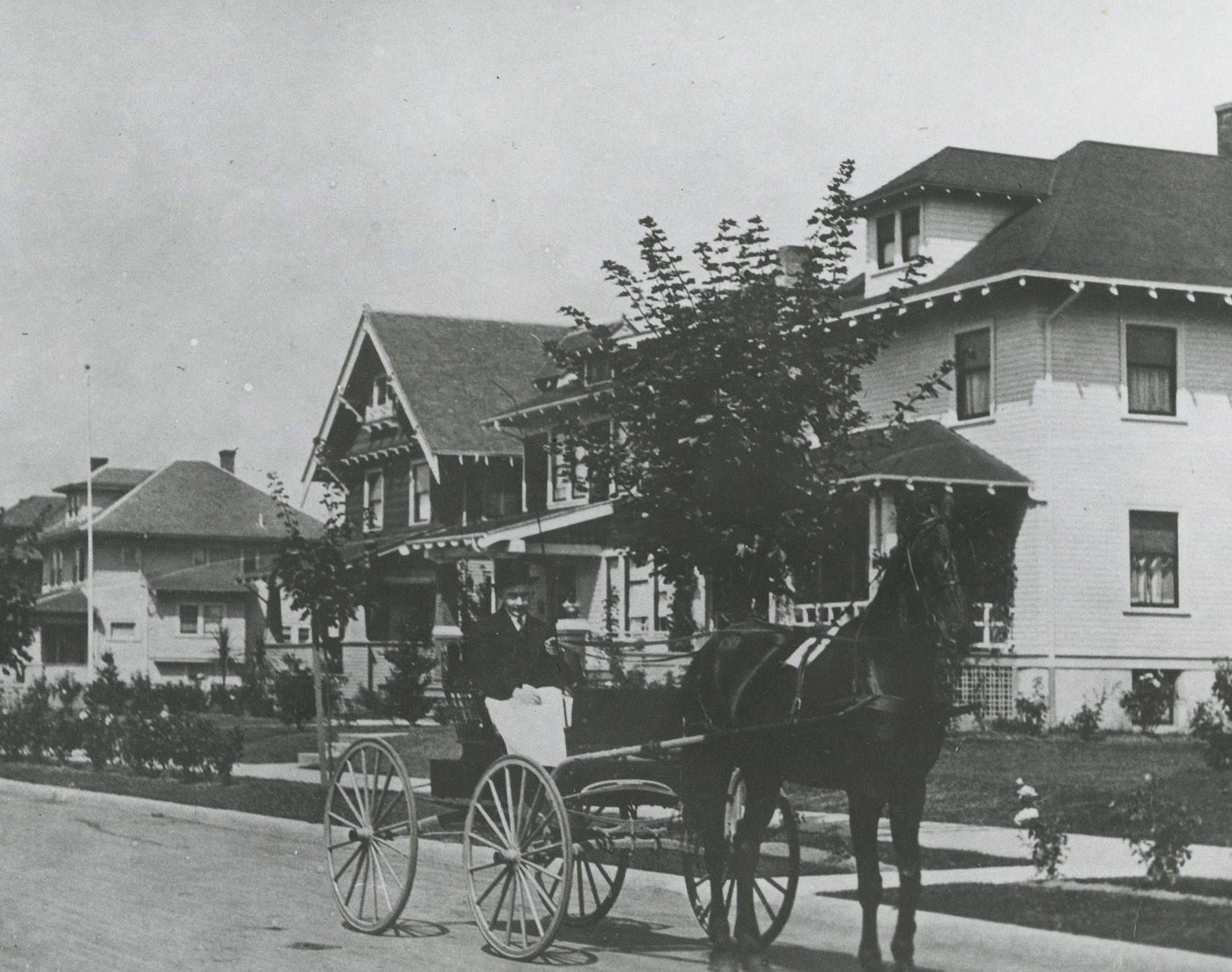 It's hard for us to imagine that when this photograph taken on Ladd Avenue (circa 1910), horses were still a common means of transportation.