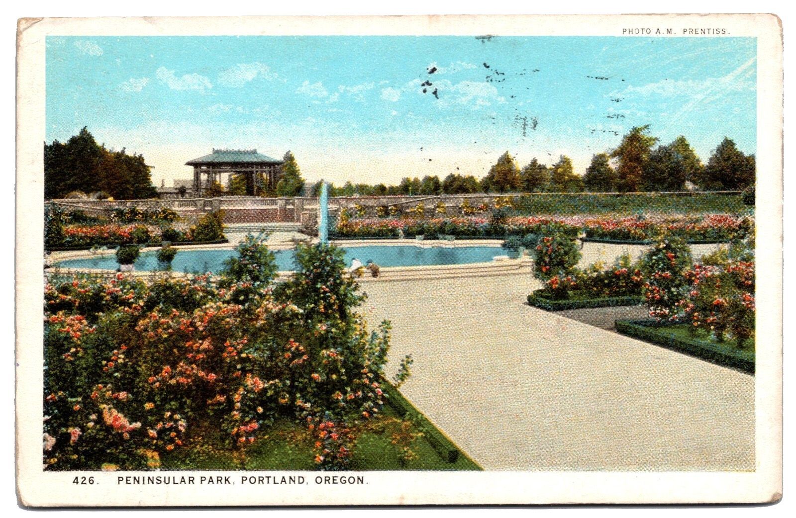An early 20th century colorized postcard captures the beauty of Piedmont's famous rose garden in full bloom. 