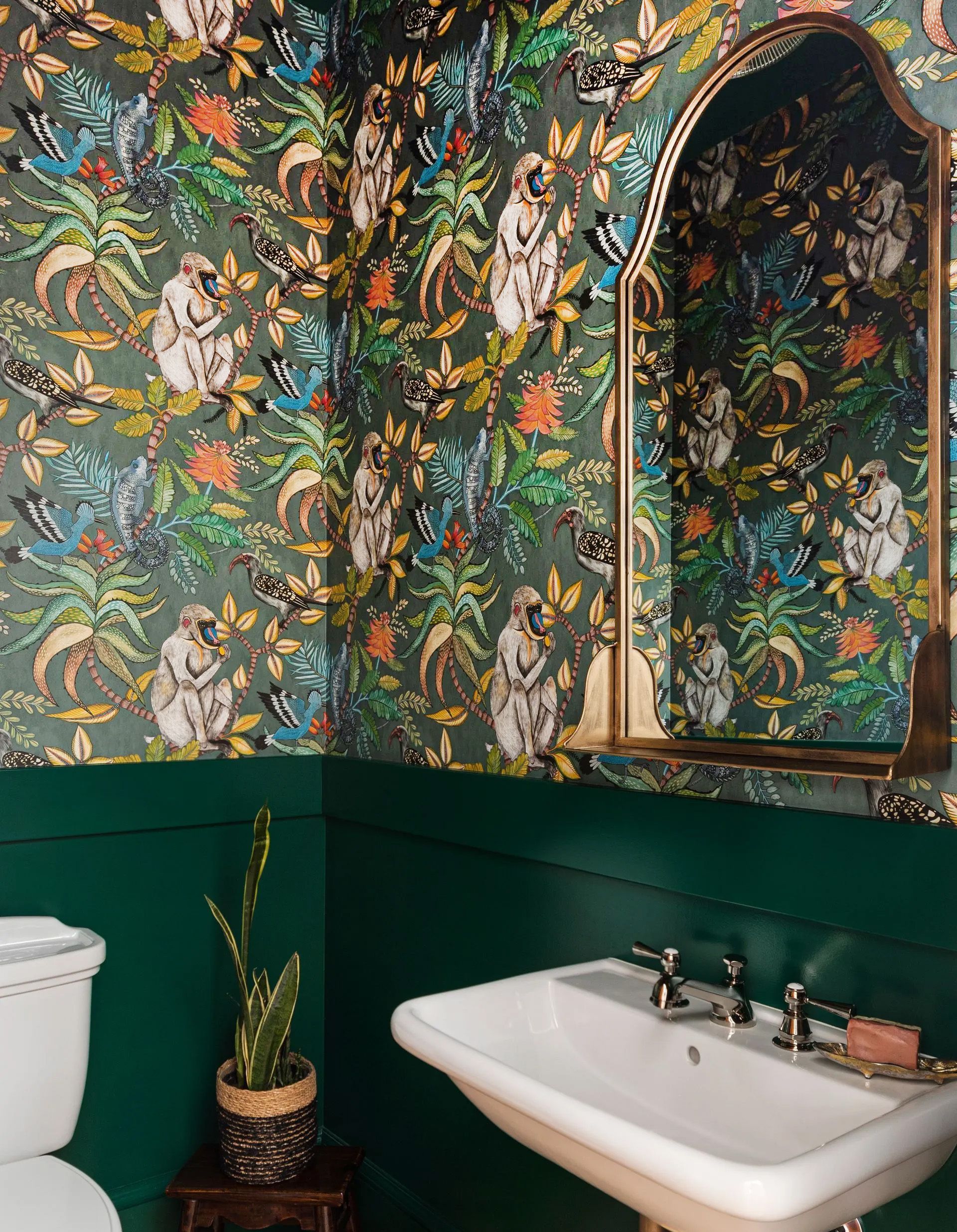 Powder room wallpapered with a pattern of cheerful monkeys and hummingbirds.