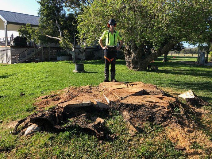 A Man is Standing on Top of a Large Tree Stump — Jeff Pearce Tree Services in Tuncurry, NSW