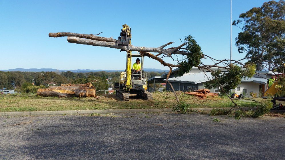 A Yellow Excavator is Cutting Down a Tree in a Field — Jeff Pearce Tree Services in Tuncurry, NSW