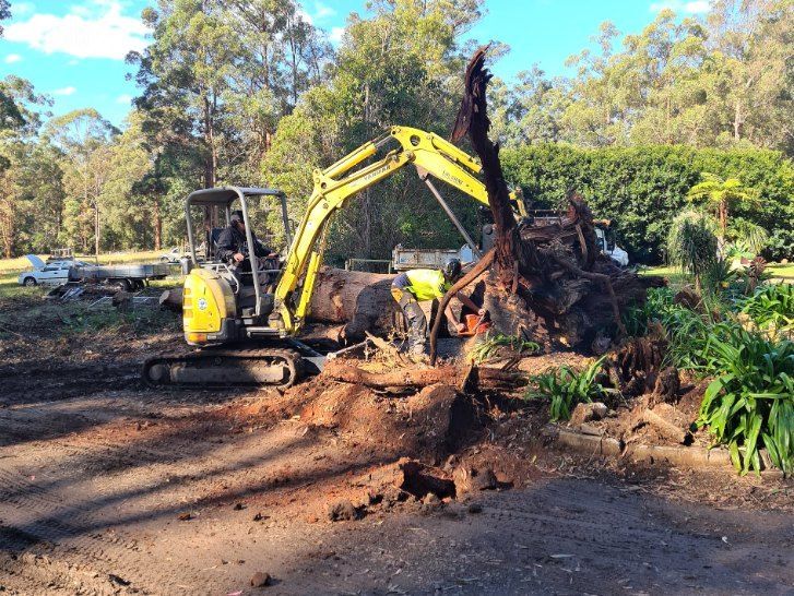 A Yellow Excavator is Working on a Large Tree Stump — Jeff Pearce Tree Services in Diamond Beach, NSW