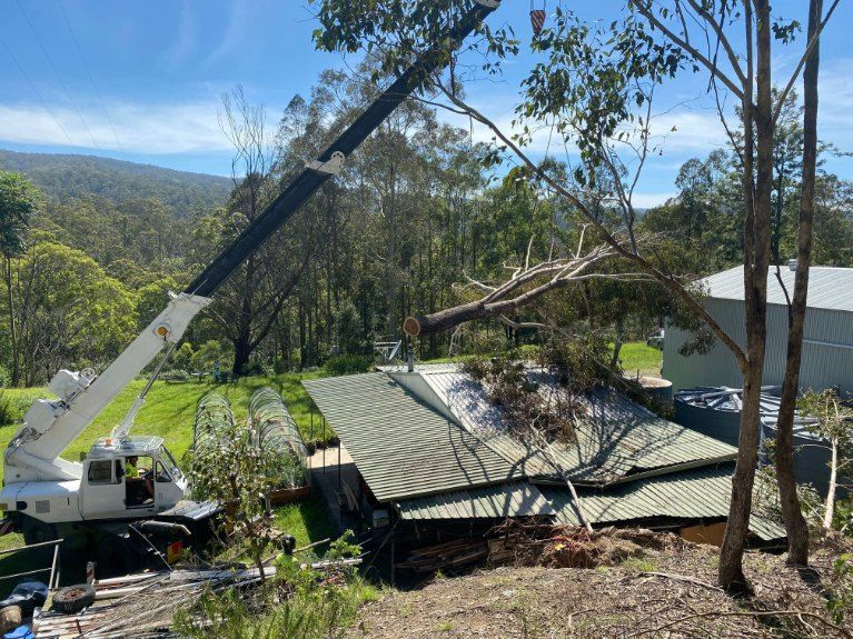 A Crane is Lifting a Tree Over a House — Jeff Pearce Tree Services in Wauchope, NSW