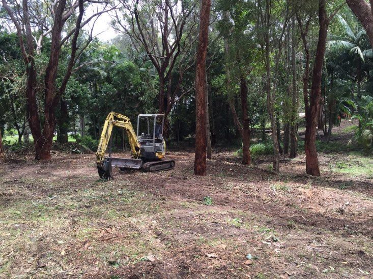 A Small Yellow Excavator is Sitting in the Middle of a Forest — Jeff Pearce Tree Services in Tuncurry, NSW