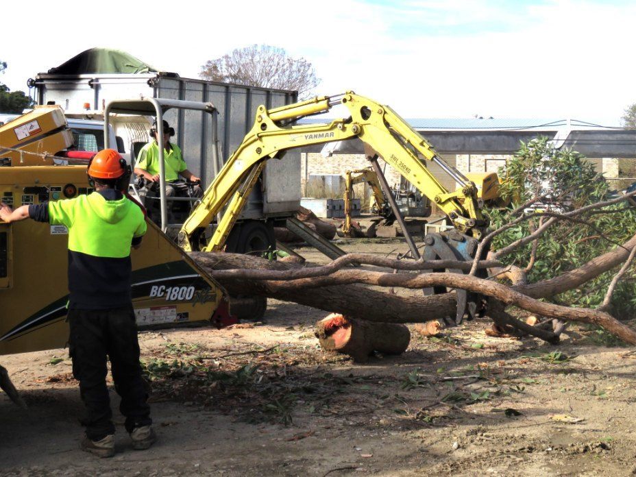 A Man Wearing a Hard Hat is Standing in Front of a Yellow Excavator — Jeff Pearce Tree Services in Nabiac, NSW