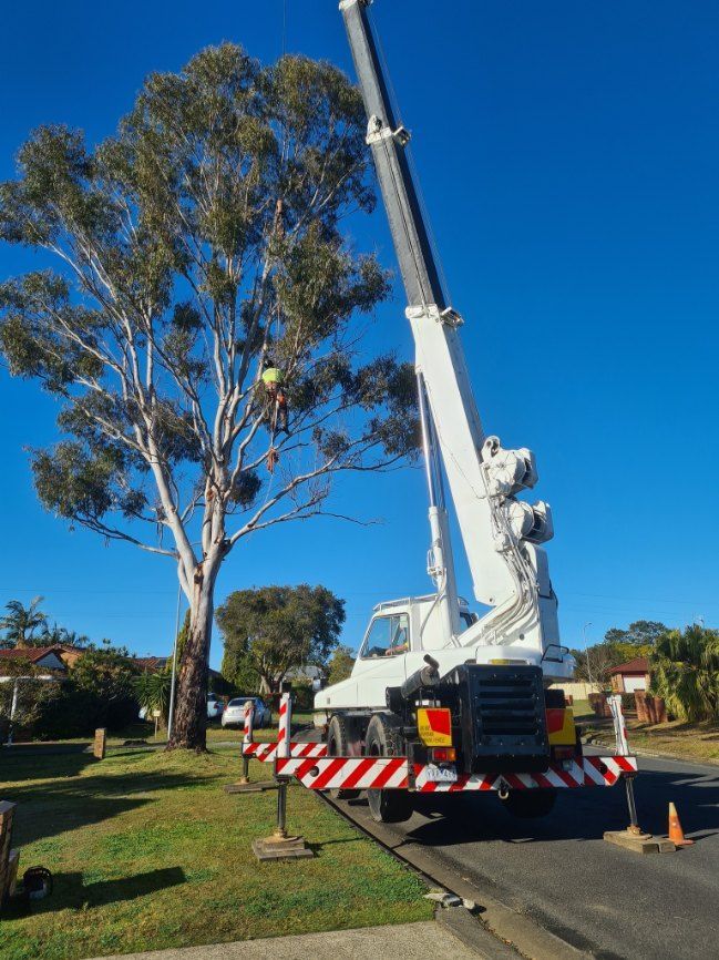 A White Truck With a Crane Attached to It is Cutting a Tree — Jeff Pearce Tree Services in Harrington, NSW