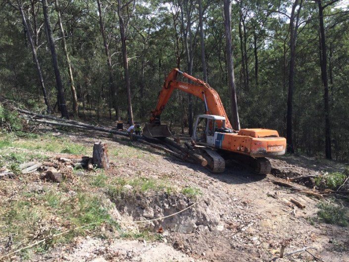 A Large Orange Excavator is Driving Down a Dirt Road in the Woods — Jeff Pearce Tree Services in Wingham, NSW