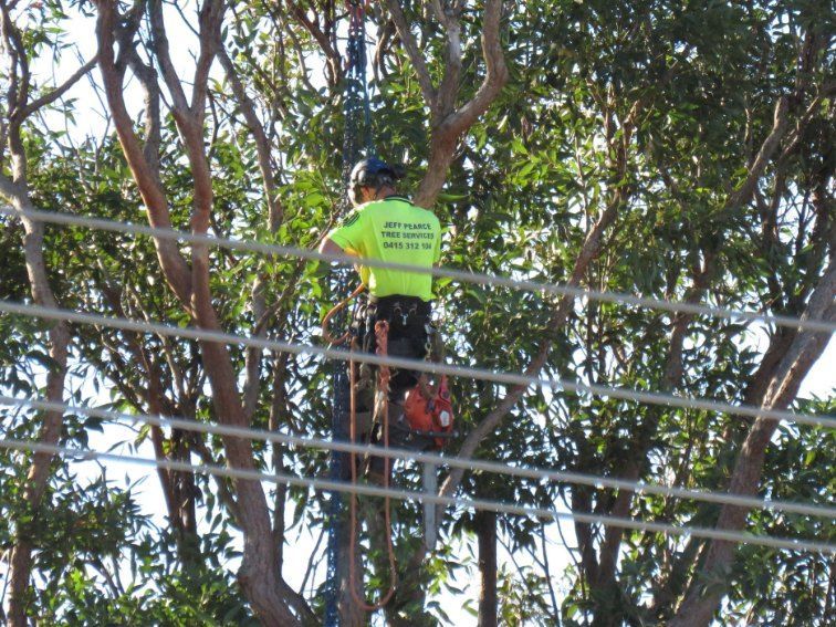 A Man in a Yellow Shirt is Cutting a Tree — Jeff Pearce Tree Services in Tuncurry, NSW