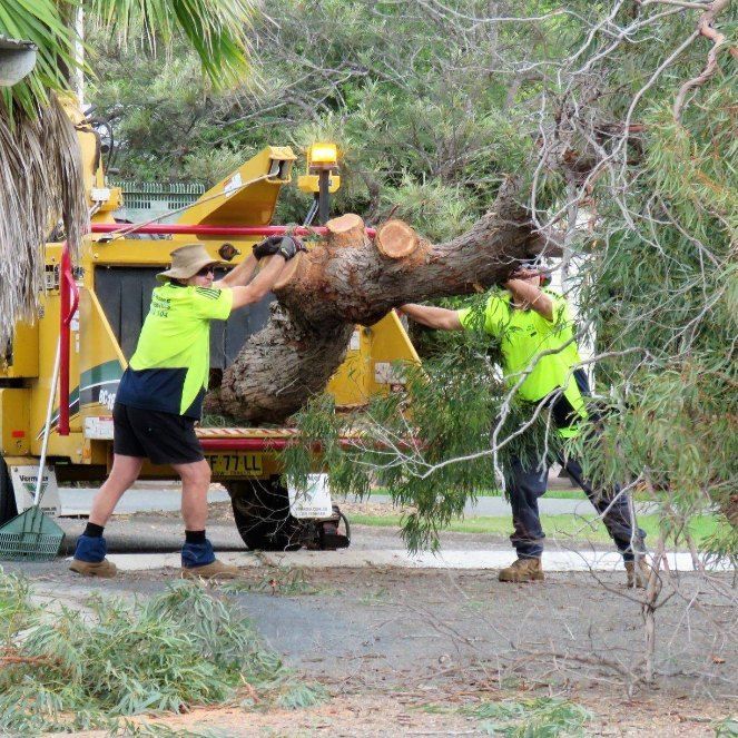 Two Men Are Carrying a Large Tree on a Truck — Jeff Pearce Tree Services in Forster, NSW