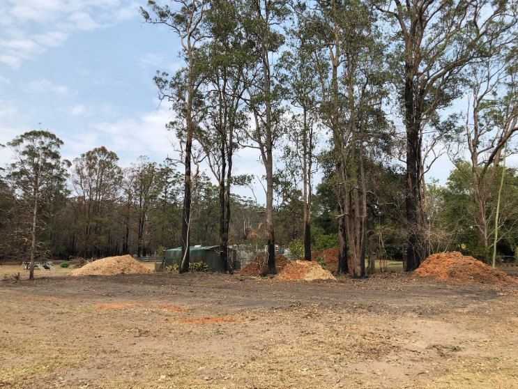 A Dirt Field With Trees in the Background and Piles of Dirt in the Foreground — Jeff Pearce Tree Services in Harrington, NSW