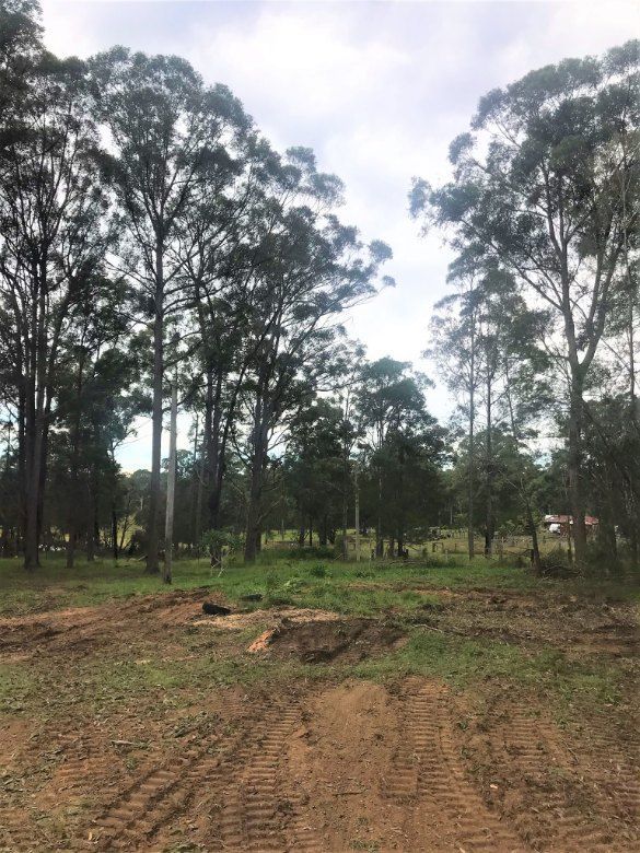 A Dirt Road Going Through a Forest With Trees in the Background — Jeff Pearce Tree Services in Harrington, NSW
