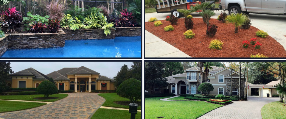 Collage of landscaped front yards with pools, mulch beds, and suburban homes