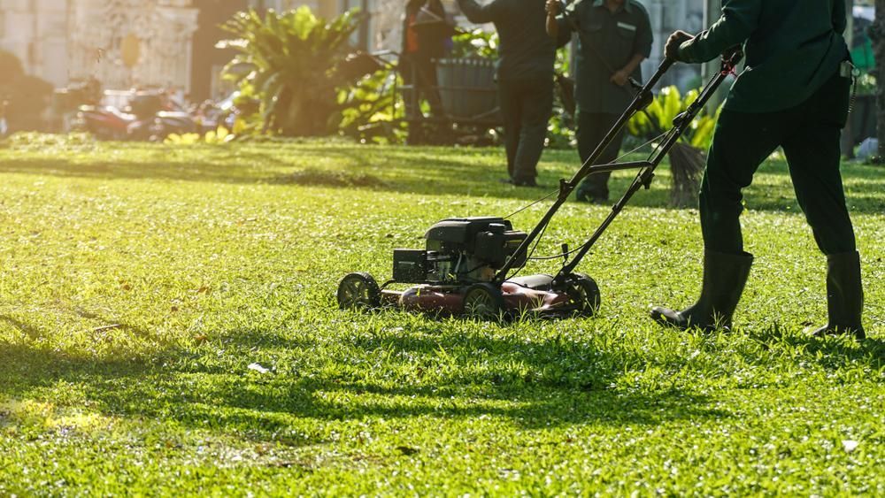 A Person Using A Lawn Mower To Cut The Grass In A Park — Eclipse Lawn Maintenance in Edmonton, QLD