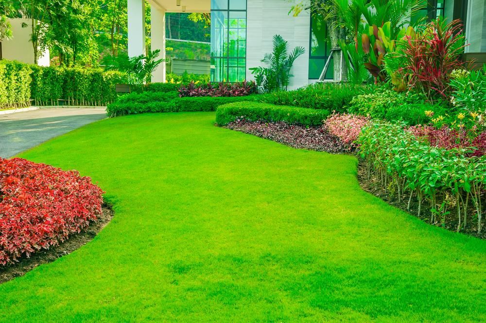 Garden With Fresh Green Grass Both Shrub and Flower — Eclipse Lawn Maintenance in Edmonton, QLD